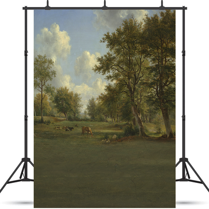 Toile de fond de photographie de paysage de peinture à l'huile SBH0332