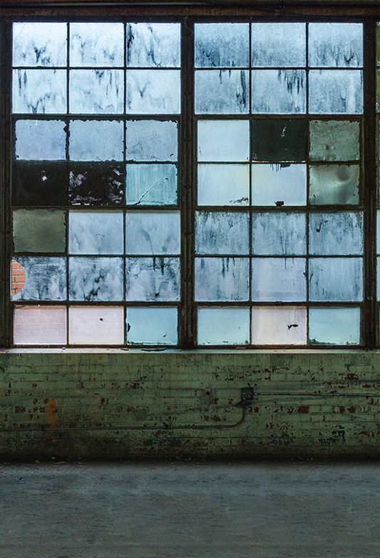 Toile de fond d'usine de briques abandonnées pour la photographie SBH0344