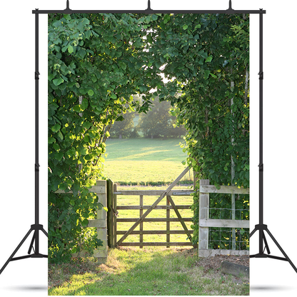 Toile de fond de jardin vert de soleil du soir pour photographie de printemps SBH0359
