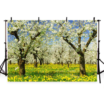 Toile de fond des fleurs de pommiers de printemps pour la photographie SBH0362