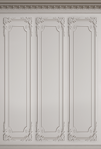 Toile de fond de photographie de mur intérieur classique blanc SBH0387