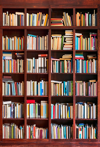 Toile de fond de bibliothèque remplie de livres photographie SBH0389