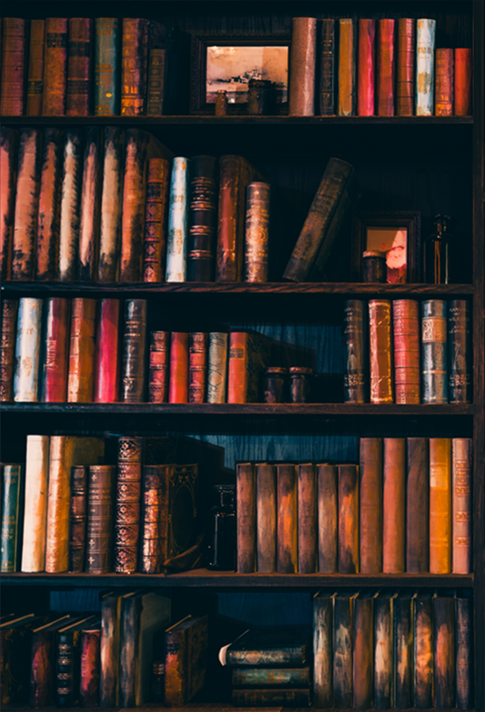 Toile de fond de photographie d'étagère à livres en bois floue SBH0390