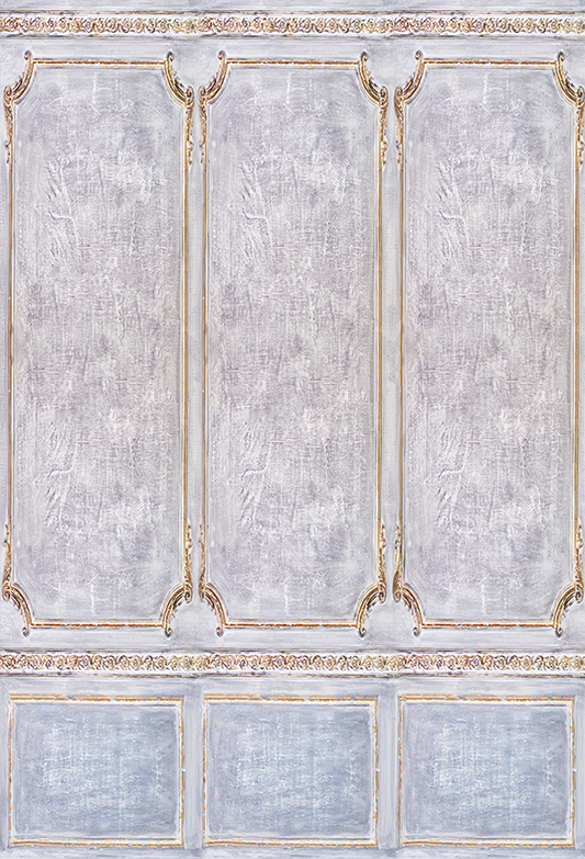 Toile de fond de mur de boudoir vintage pour la photographie SBH0392