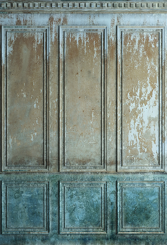 Toile de fond de vieux mur de peinture en stuc de photographie SBH0393