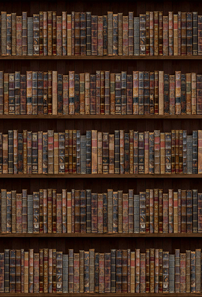 Toile de fond de photographie d'étagère à livres en bois noir vintage SBH0399