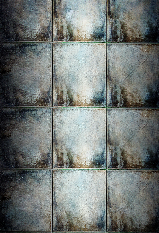 Toile de fond murale en métal rouillé pour photographie grunge SBH0405