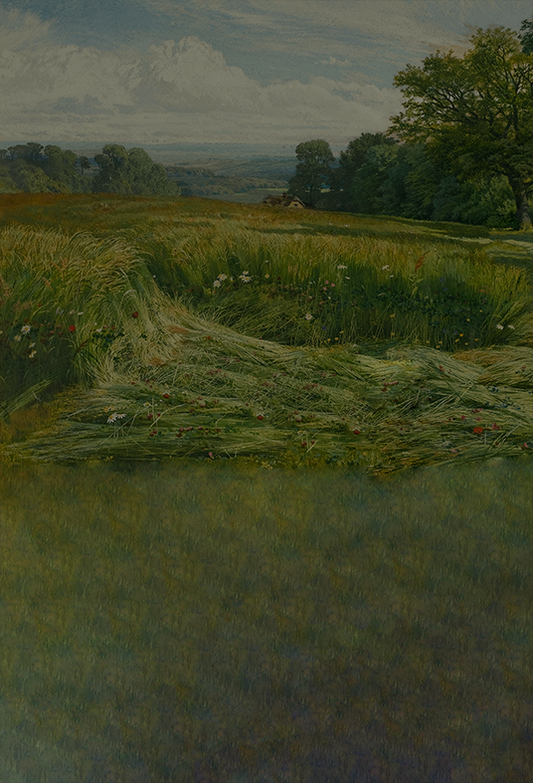 Toile de fond de peinture à l'huile de vue de près de la colline de Leith de photographie SBH0409