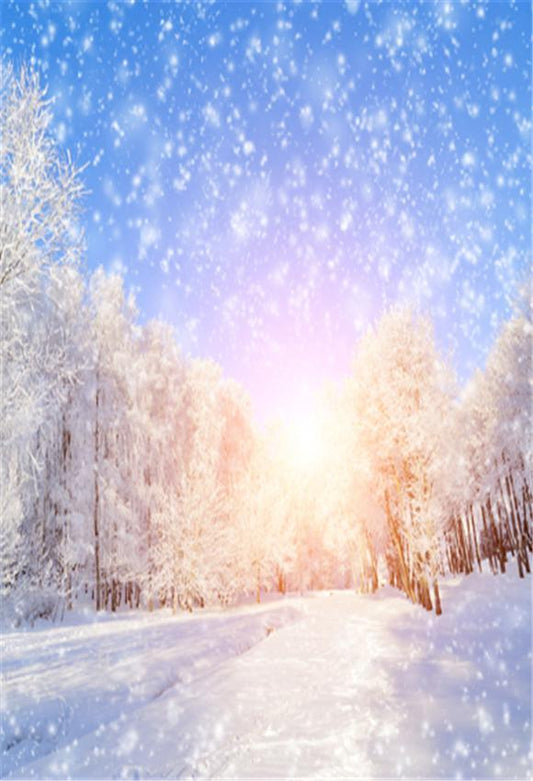 Toile de fond de photo d'hiver de coucher de soleil de flocon de neige