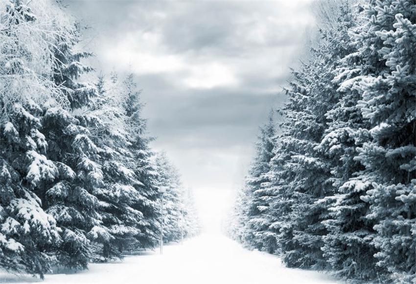 Toile de fond de neige de la forêt de nuages d'hiver