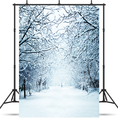 Toile de fond de voie enneigée d'hiver avec des branches pour la photographie SBH0298