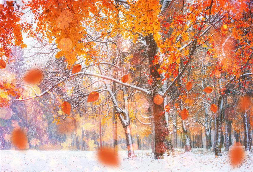 Toile de fond de neige de feuilles d'érable d'hiver pour la photographie
