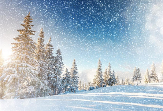 Toile de fond décors de studio photo d'hiver de flocon de neige
