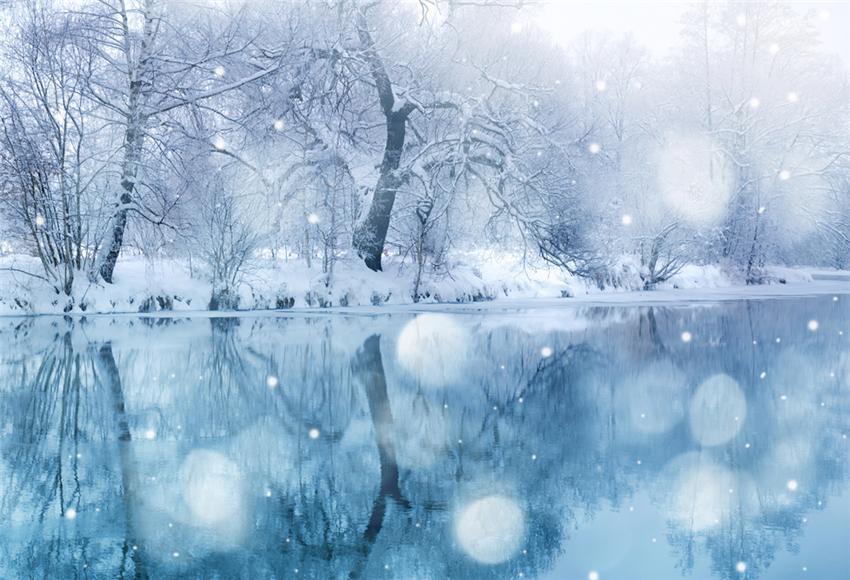 Toile de fond de flocon de neige de lac d'hiver