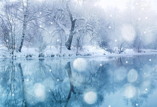Toile de fond de flocon de neige de lac d'hiver