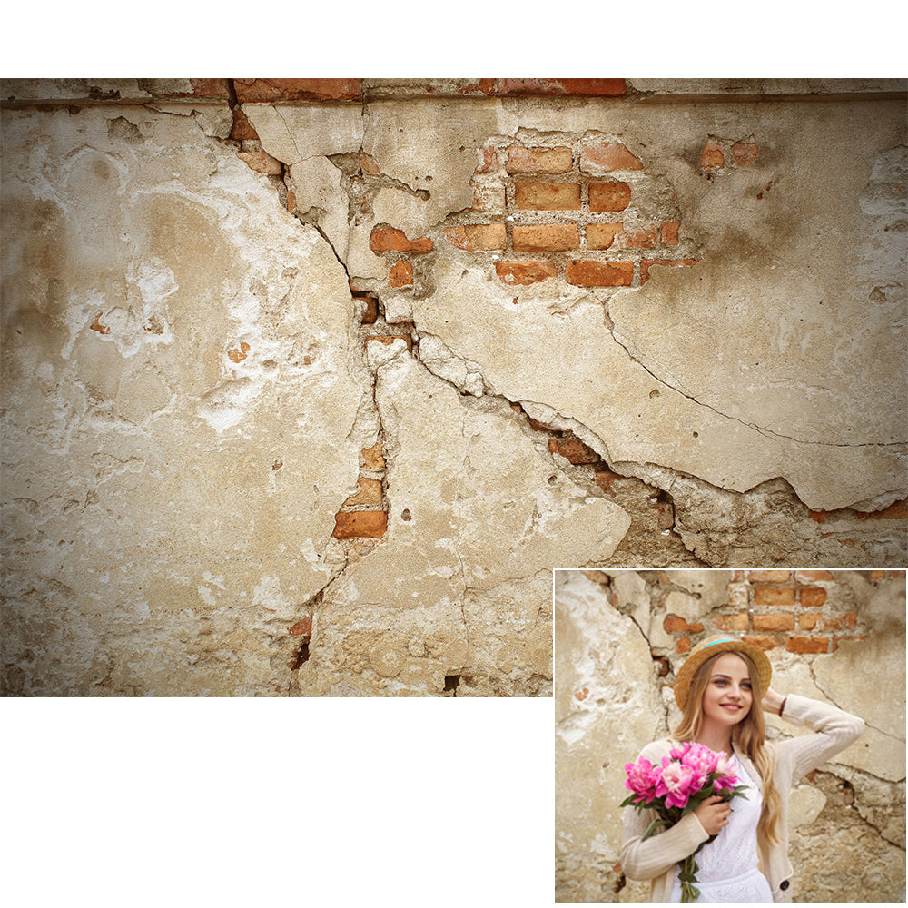 Toile de fond de béton brique photo murs photographique studio photo photographie HJ11207